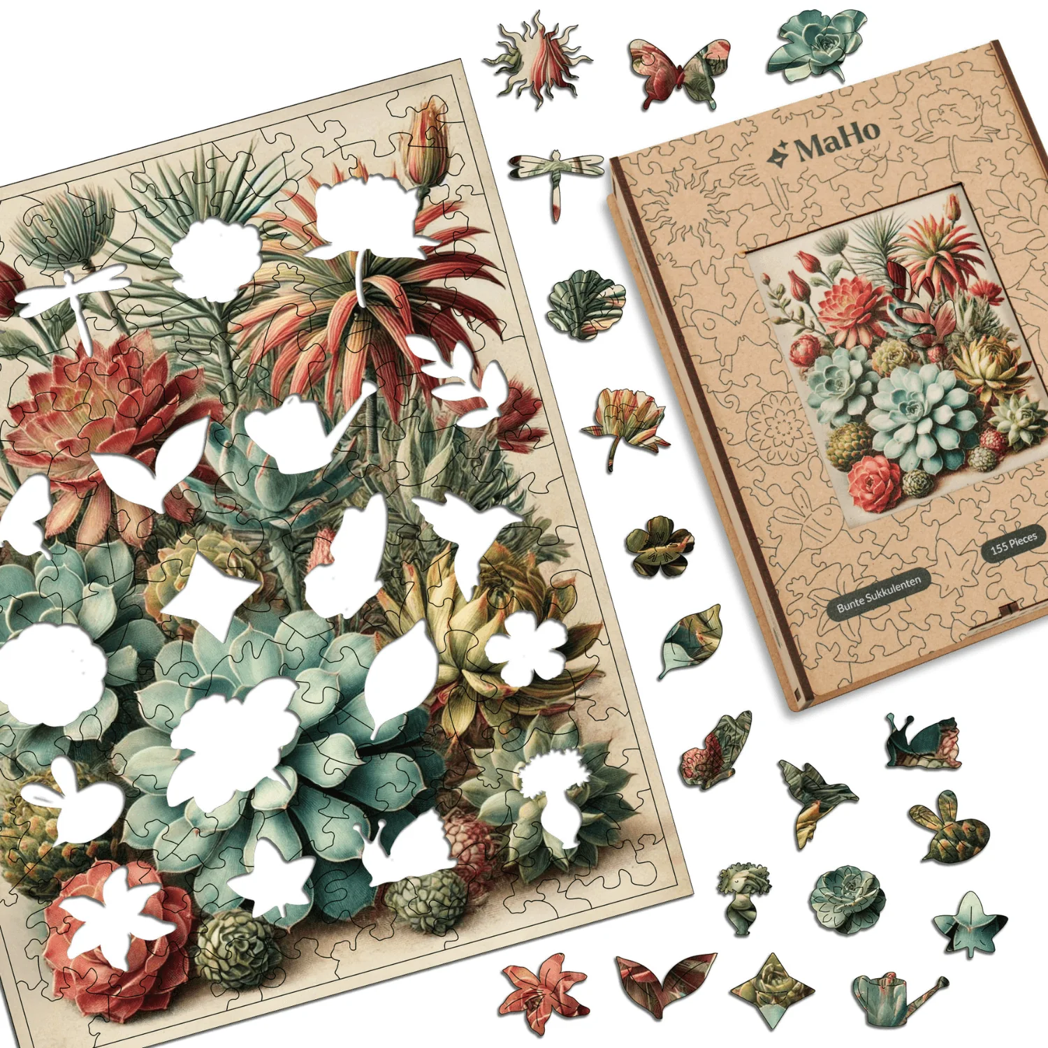 Bunte Sukkulenten - Image 3