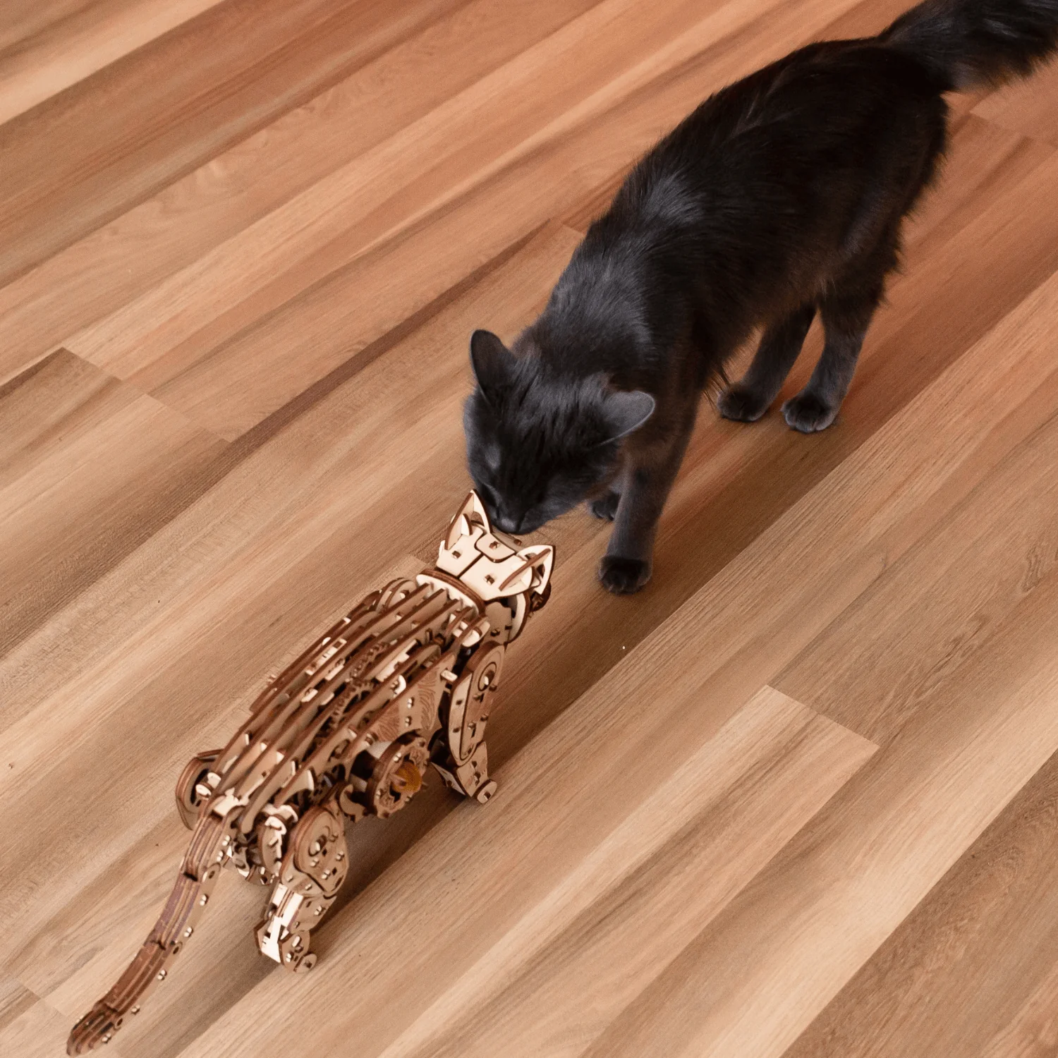 Mechanische Katzen – Natur oder Schwarz - Image 5