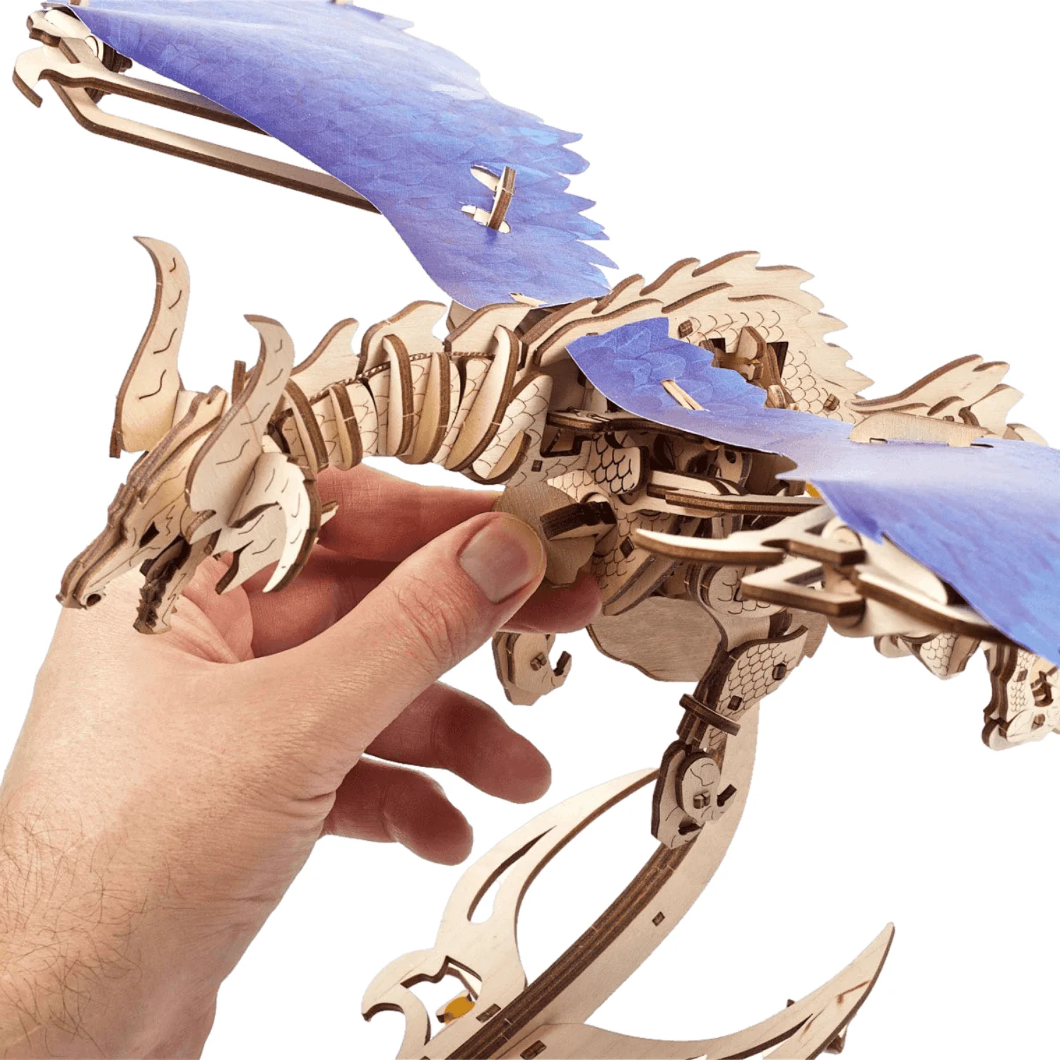 Sturmdrache - Image 6